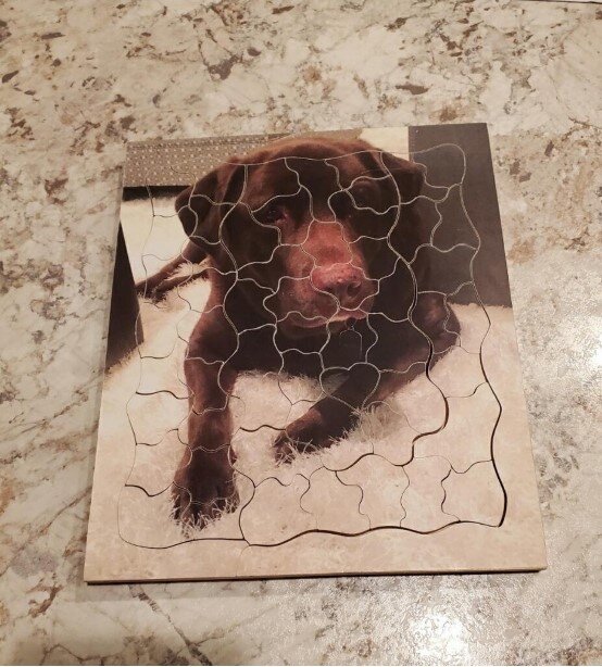 Dog Puzzle Image